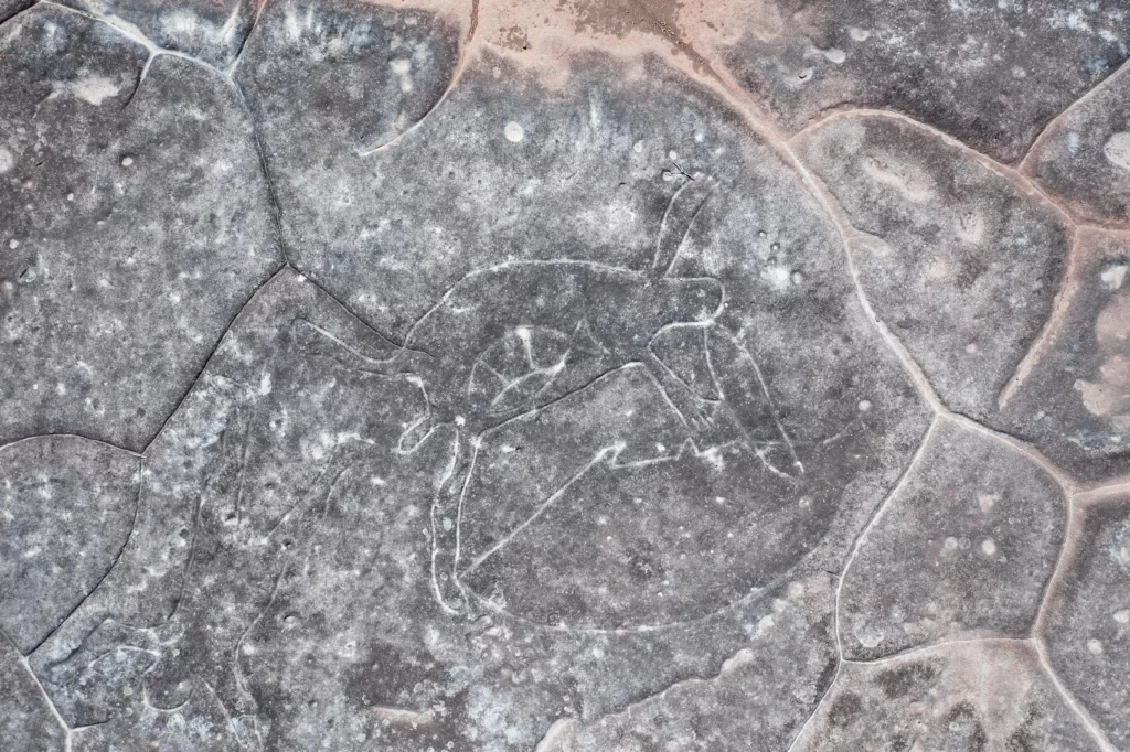 An aboriginal rock carving art