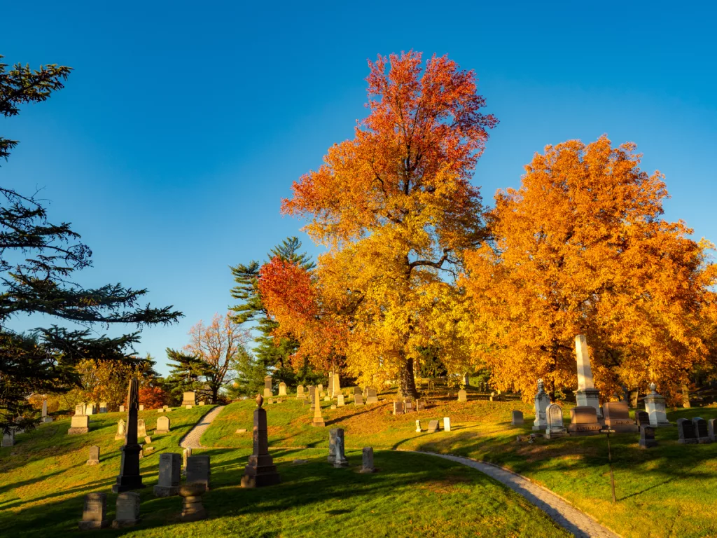 Autumn in Green-Wood Cemetery New York